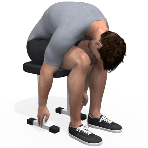 Bench Back Flexion Sit Video Exercise Guide