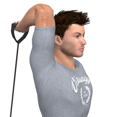 Pulley Triceps Extension Overhead Video Exercise Guide