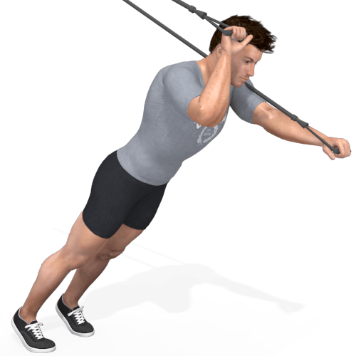Suspension Trainer Triceps Press Video Exercise Guide
