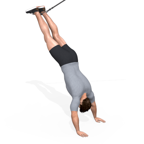 Suspension Trainer Australian Shoulder Press Video Exercise Guide