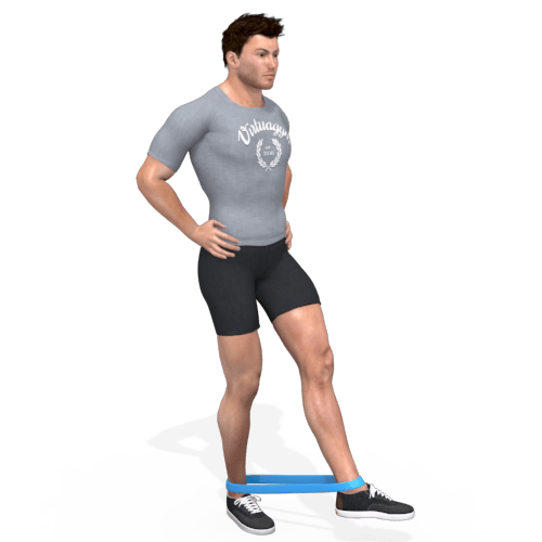 Resistance Band Leg Abduction Video Exercise Guide