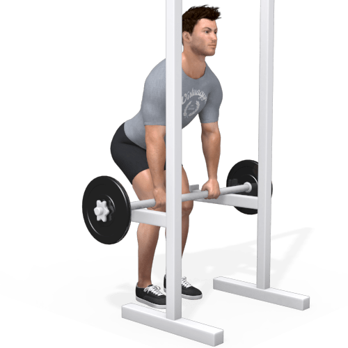 Barbell Rack Pulls Video Exercise Guide