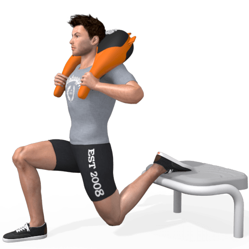 Bulgarian Bag Bulgarian Split Squat Video Exercise Guide