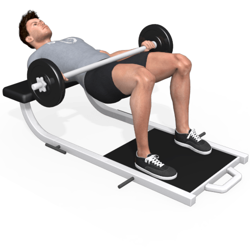 Barbell Hip Thrust Pulse Video Exercise Guide