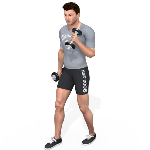 Dumbbells Hammer Curl (alternating) Video Exercise Guide