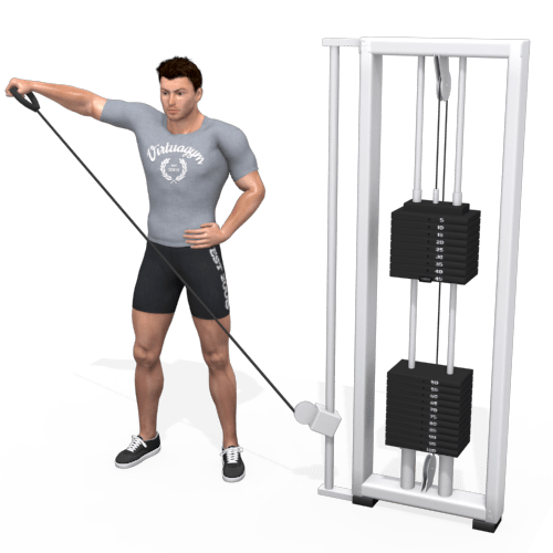 Pulley Lateral Raise Video Exercise Guide