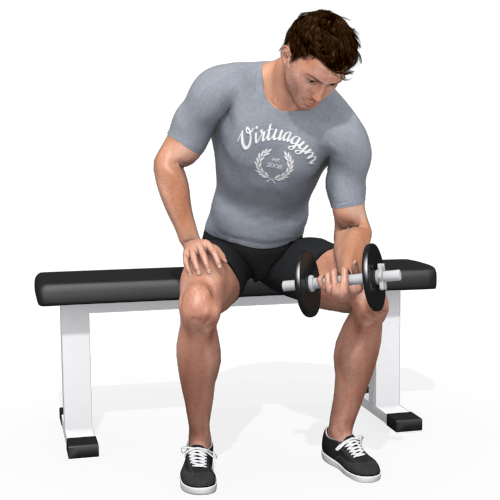 Dumbbells Wrist Curl Video Exercise Guide