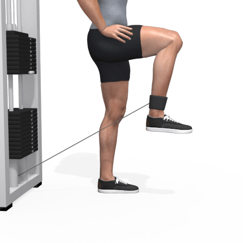Pulley Hip Flexion Knee Up Video Exercise Guide