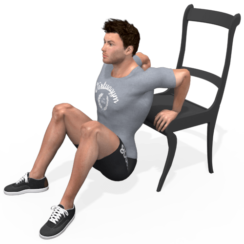 Triceps Dip Video Exercise Guide