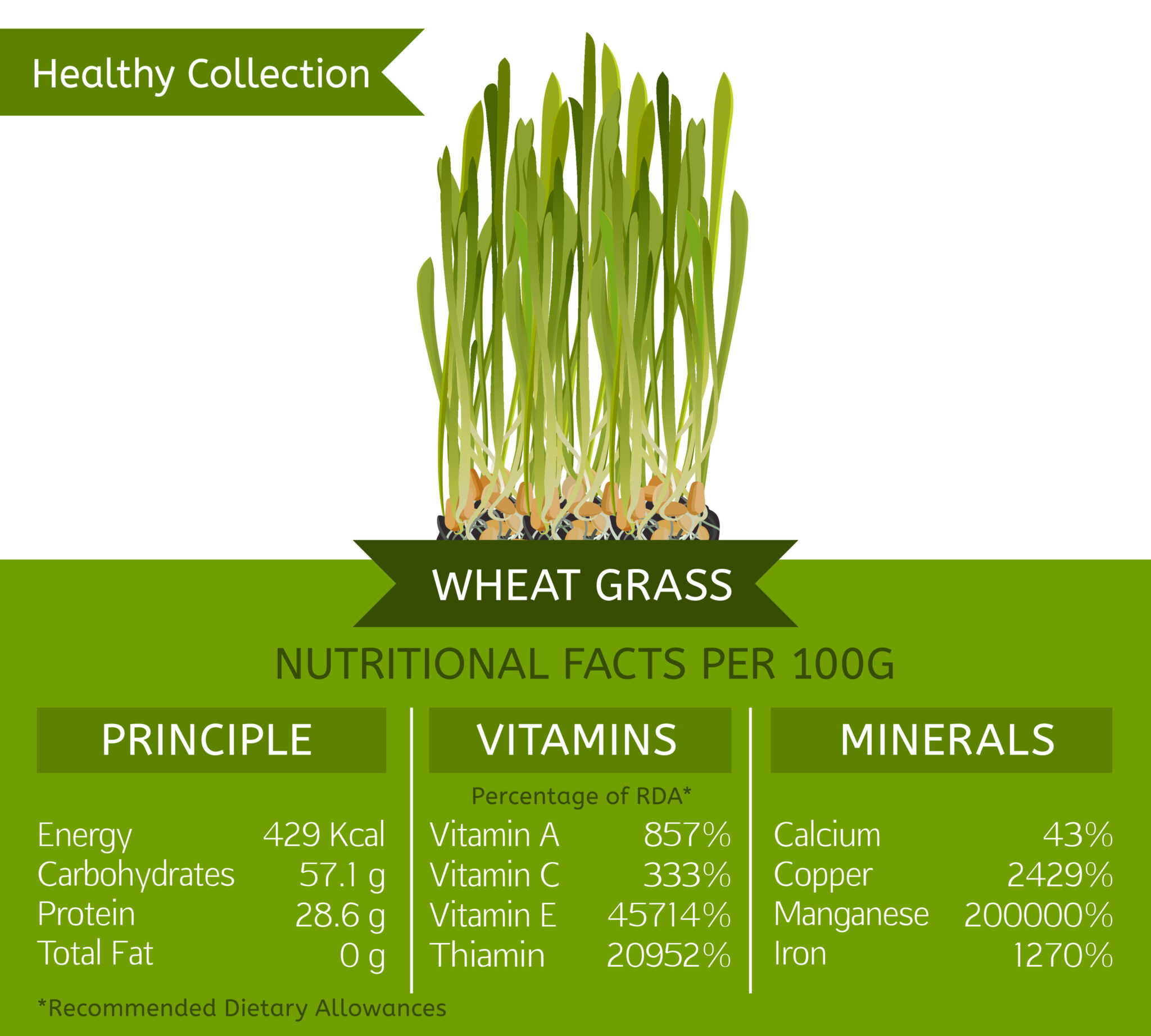 10 Best Wheatgrass Juice Powder in 2022. (Read Before You Buy!)