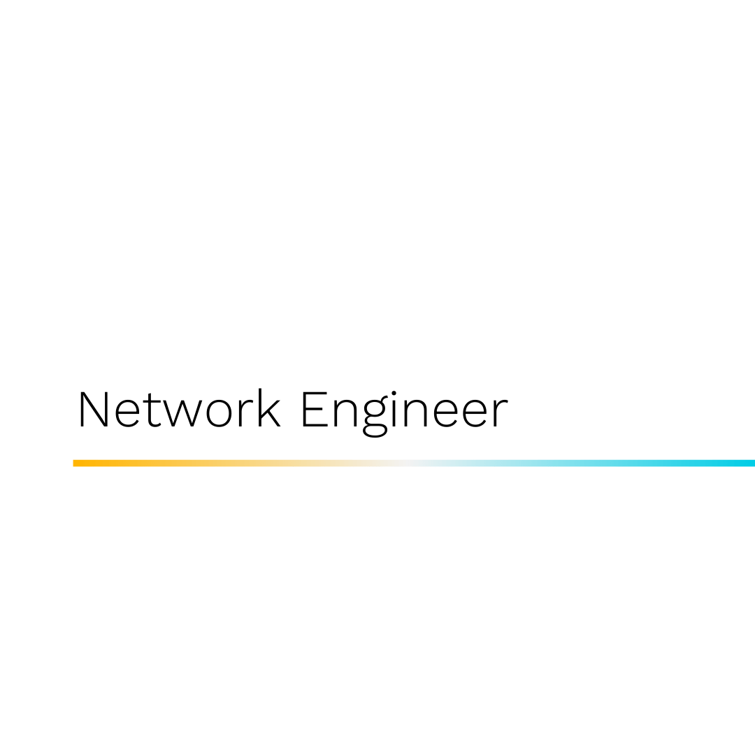 Network Engineer Consultancy Exert