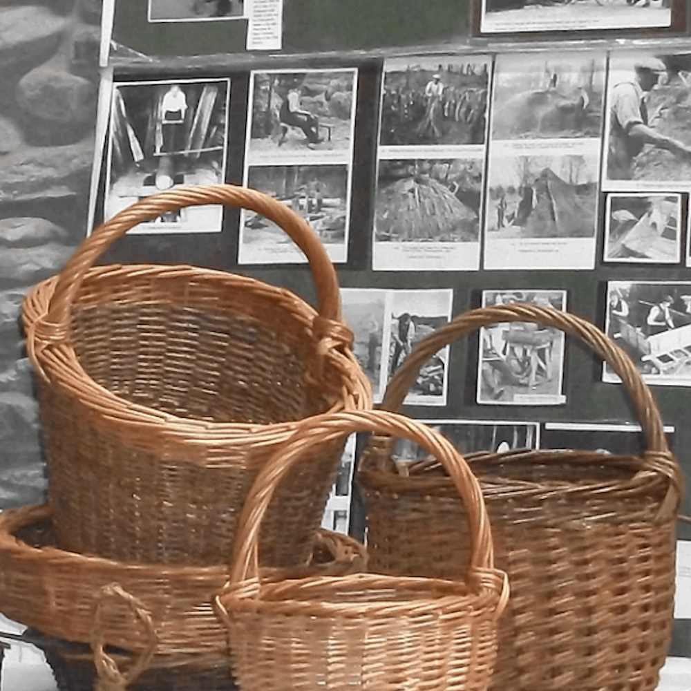 Exeter Basketry School Exeter Phoenix