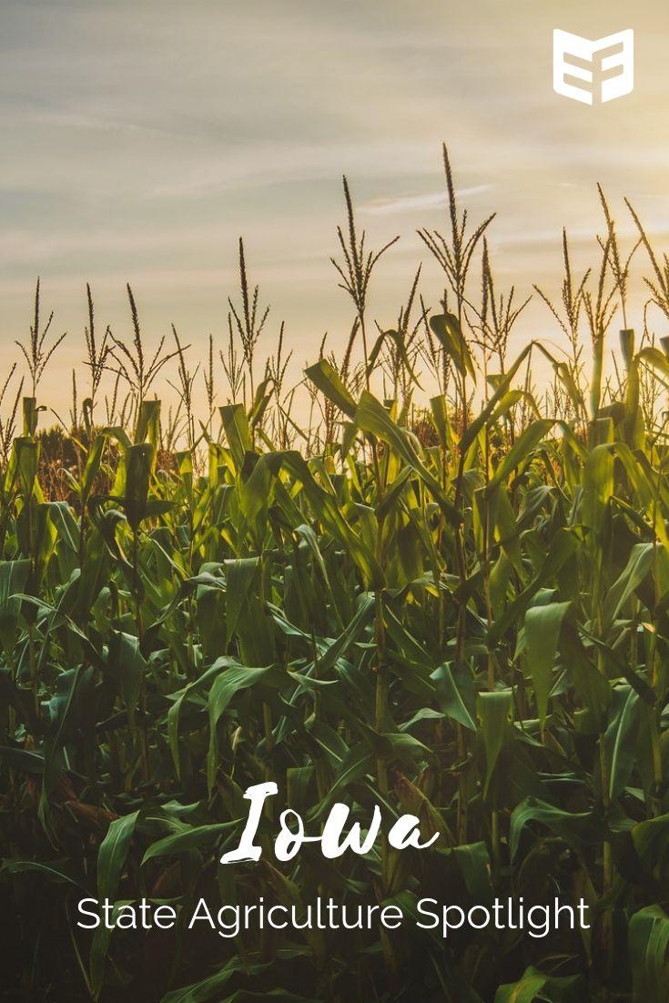 State Ag Spotlight Iowa Agriculture Exhibit Farm The Leader in