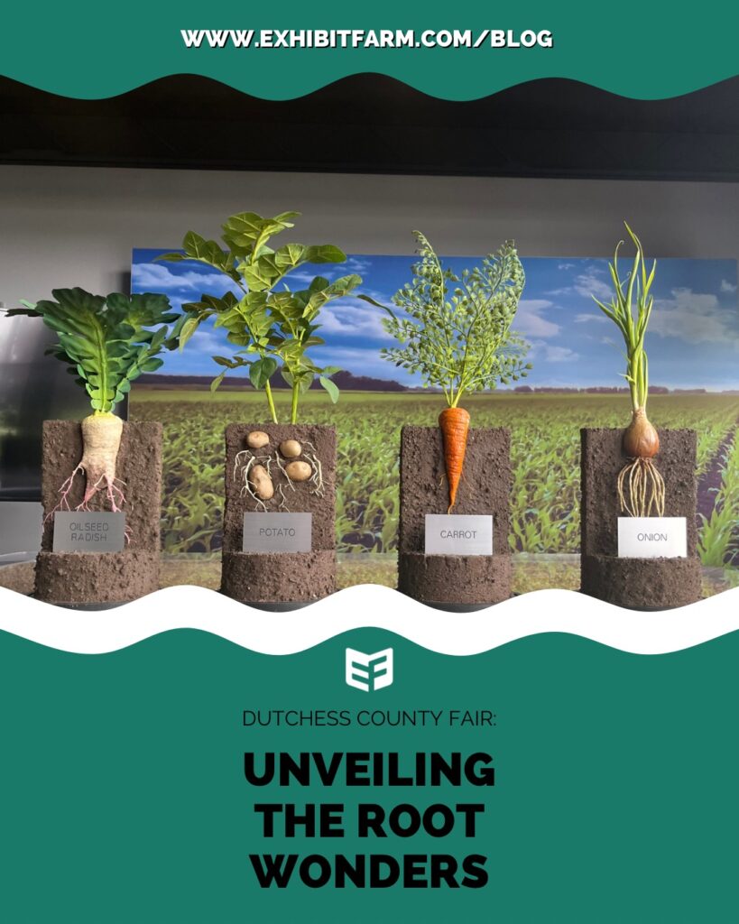 Dutchess County Fair Unveiling The Root Wonders Exhibit Farm The