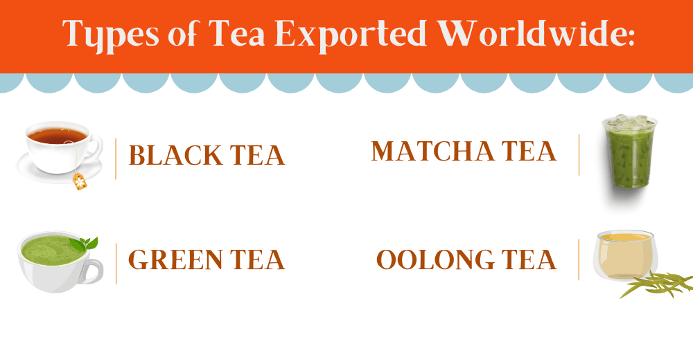 Top 10 Tea Exporting Countries in the World 202324