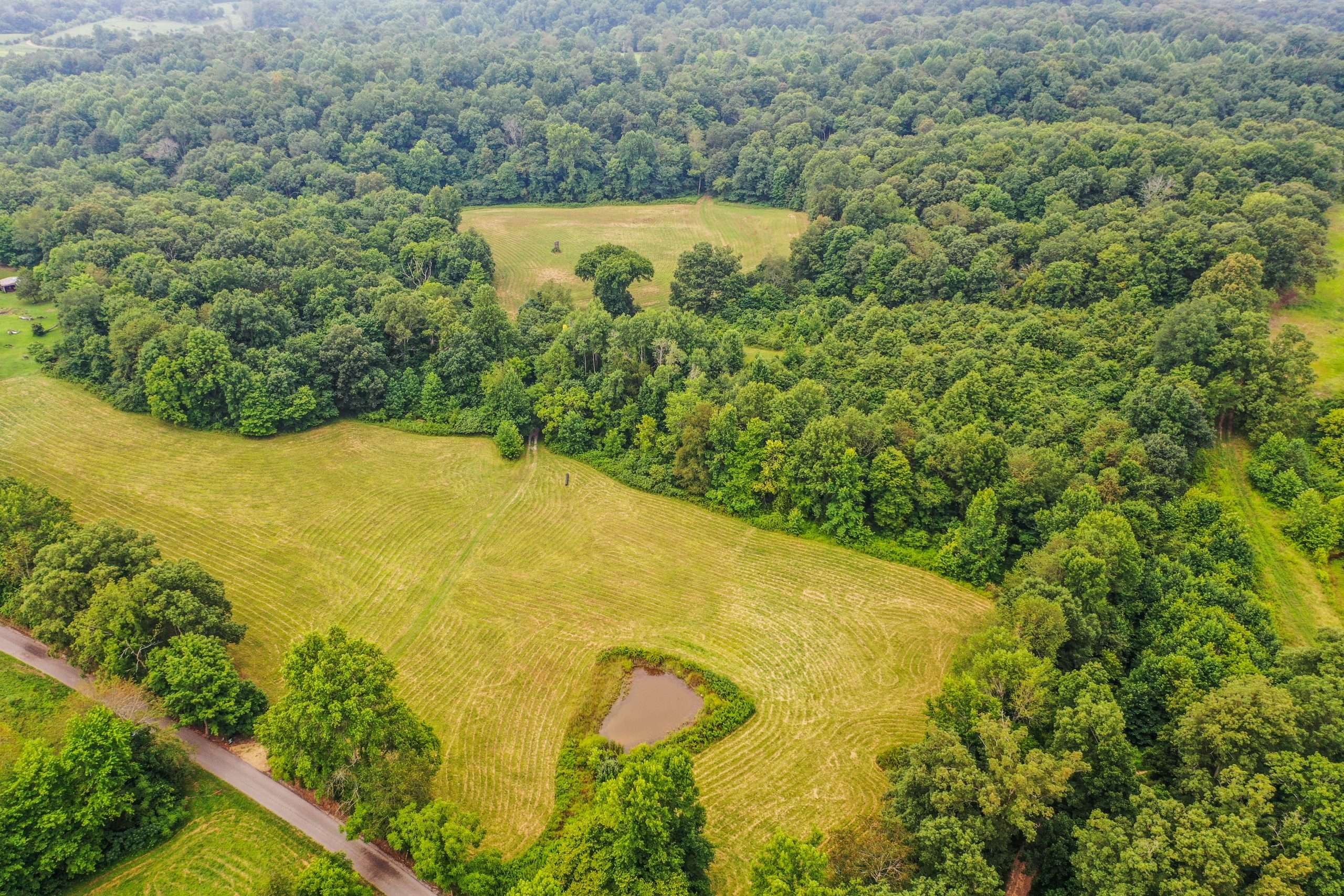 Vacant Land Exit Realty Larry McCauley