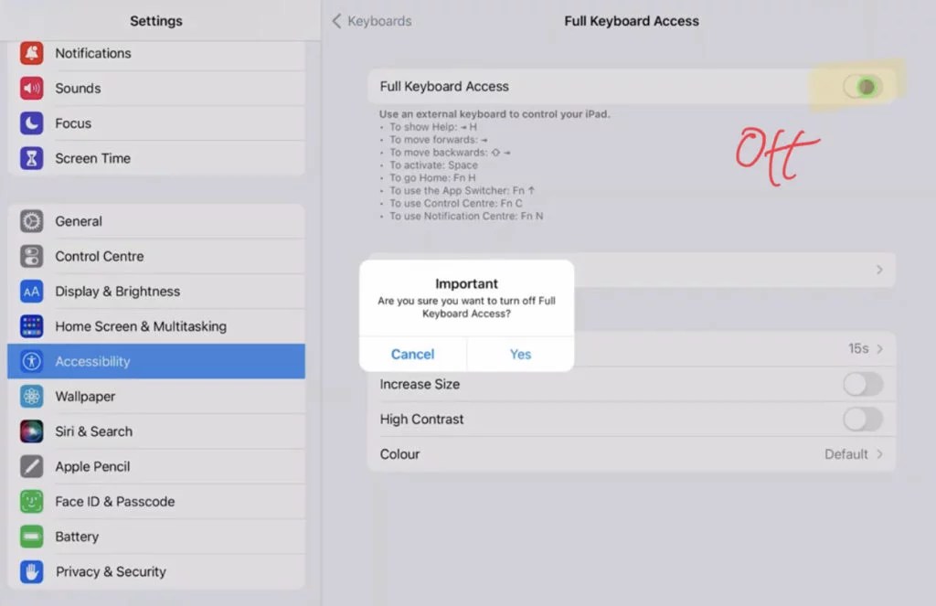 FIX SPACEBAR ISSUE in DaVinci Resolve iPad!