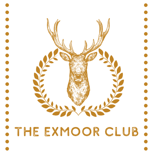 While you’re stuck at home, let us bring Exmoor to you Exmoor 4 all