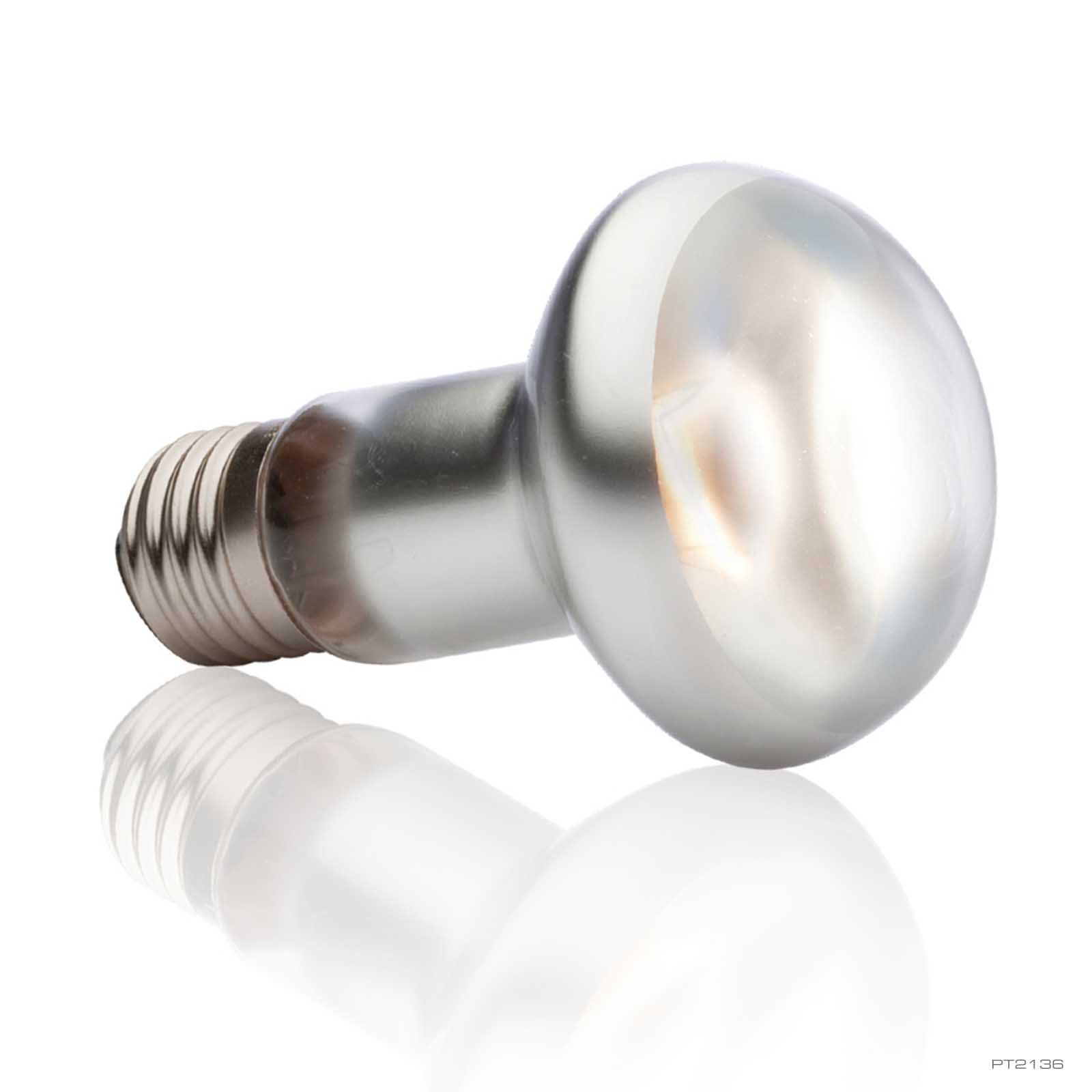 Intense Basking Spot 75W Exo Terra