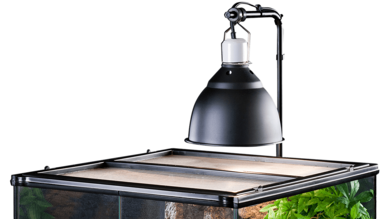 Solar Glo Wide Beam 125W