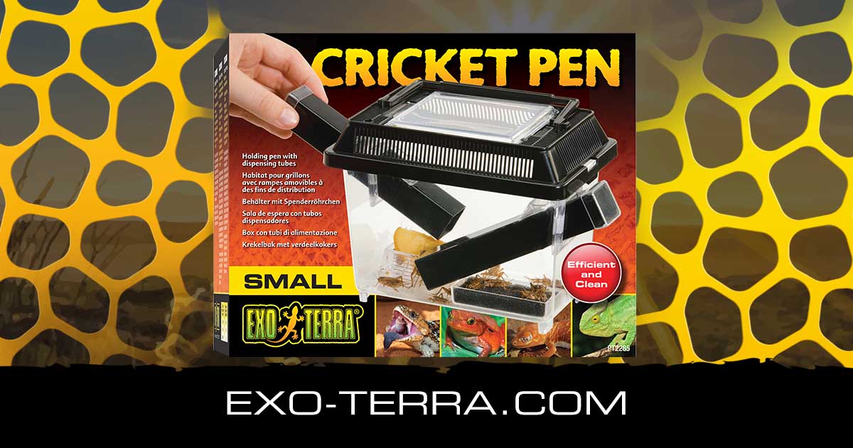 Cricket Pen Small
