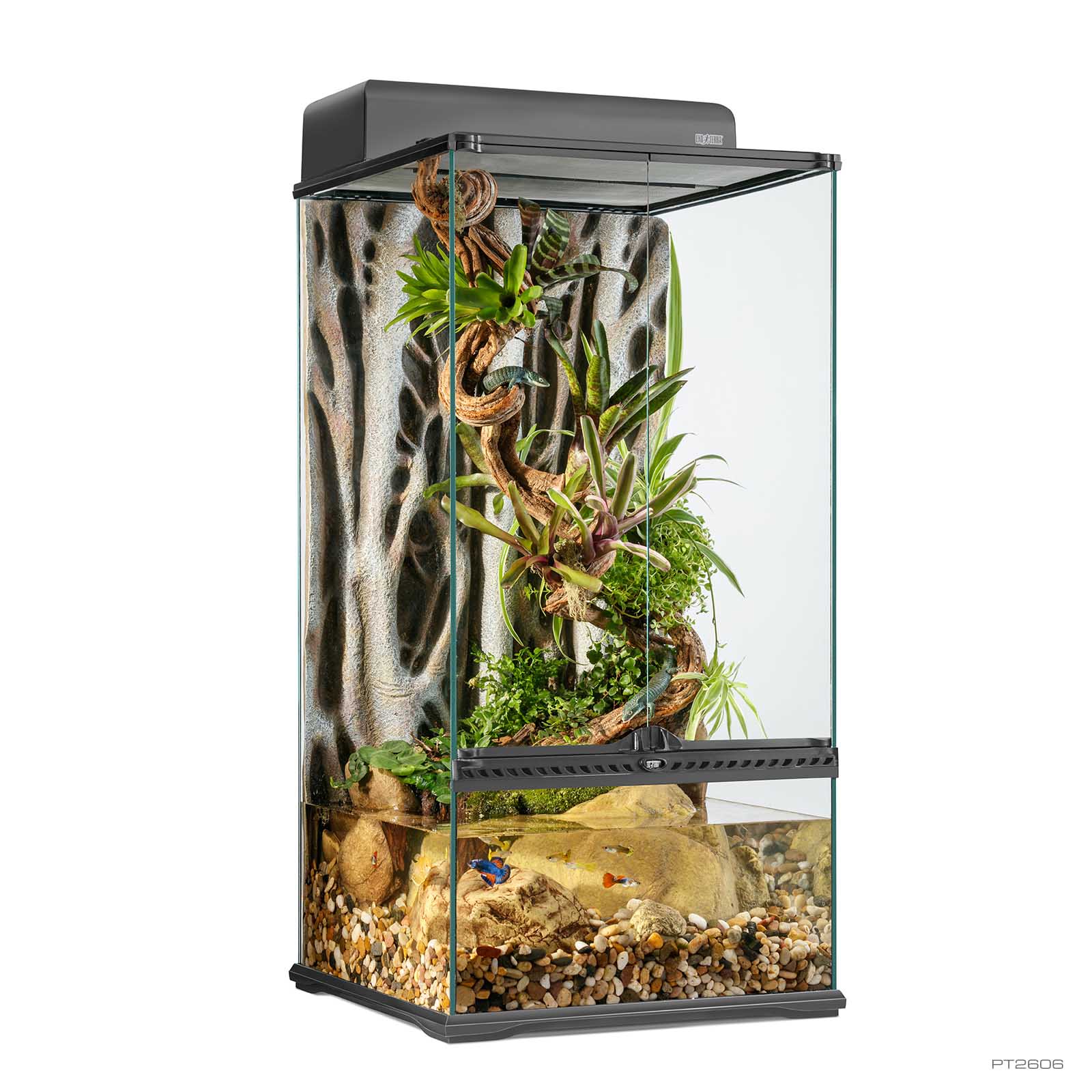 Natural Terrarium Small XTall