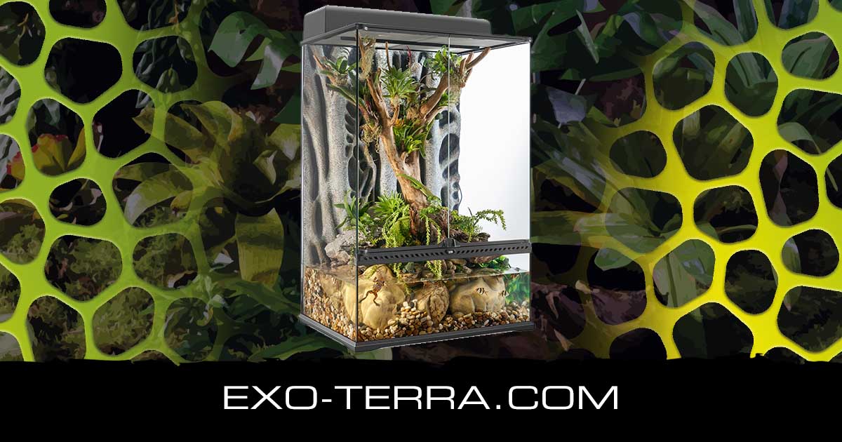 Natural Terrarium Medium XTall