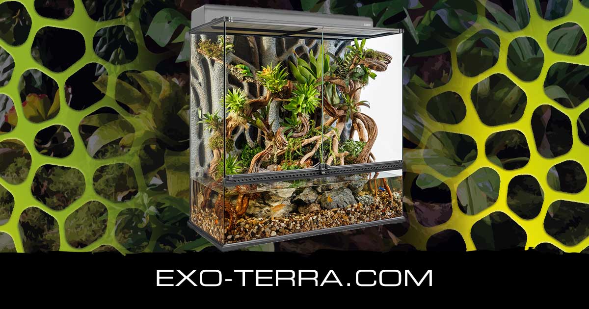 Natural Terrarium Large XTall