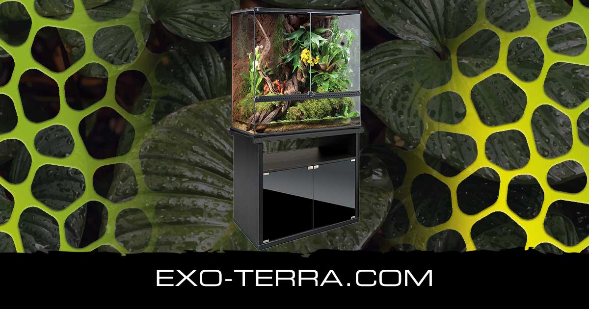 Terrarium Large
