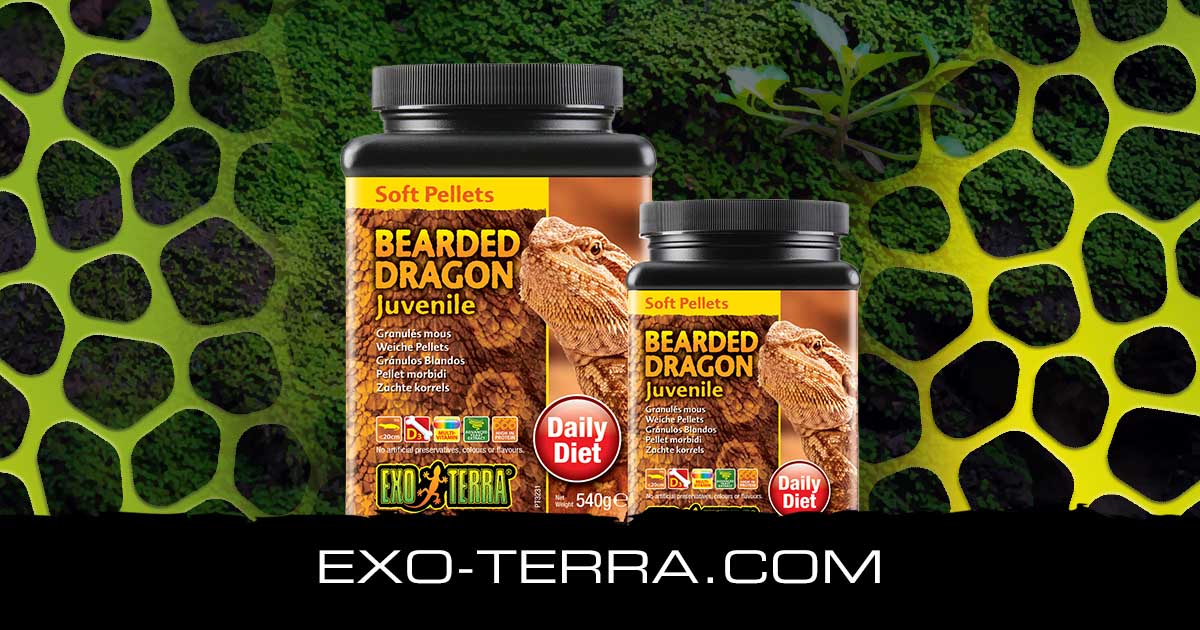 Soft Pellets Juvenile Bearded Dragon Food 8.8 oz 250g