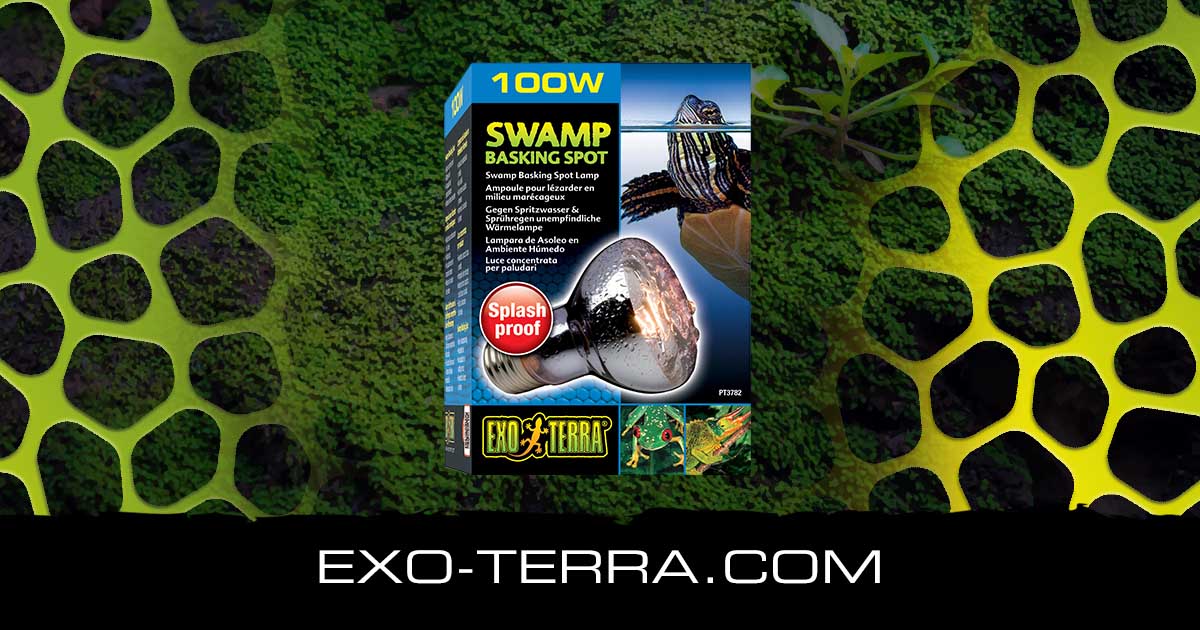 Swamp Basking Spot 100W