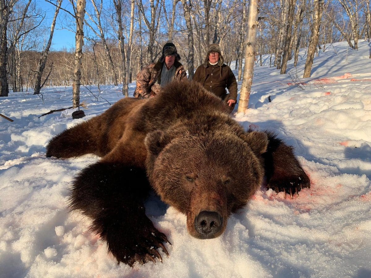 Can 7.62x39 Stop a Bear? AK vs Grizzly!