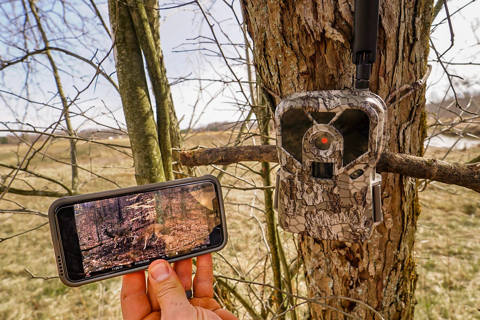 Trail Cameras That Send Pictures To Your Phone The Technology Differe