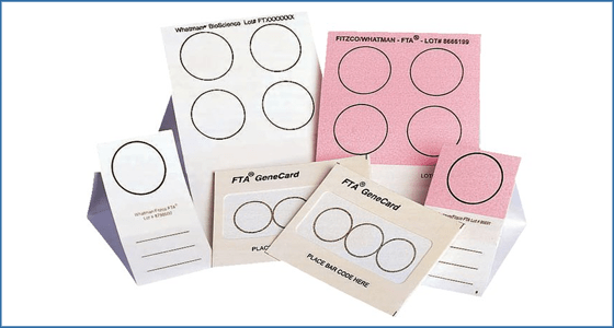 Recovery of serum exosomal microRNAs from FTA Elute cards for biomarker