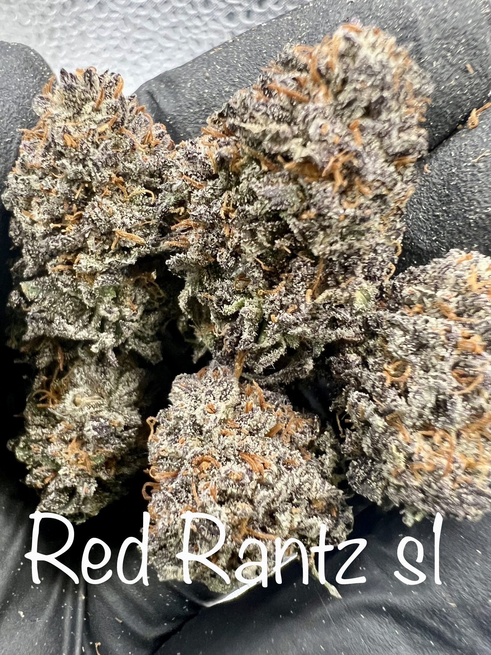 Red Runtz Exotic In Thailand