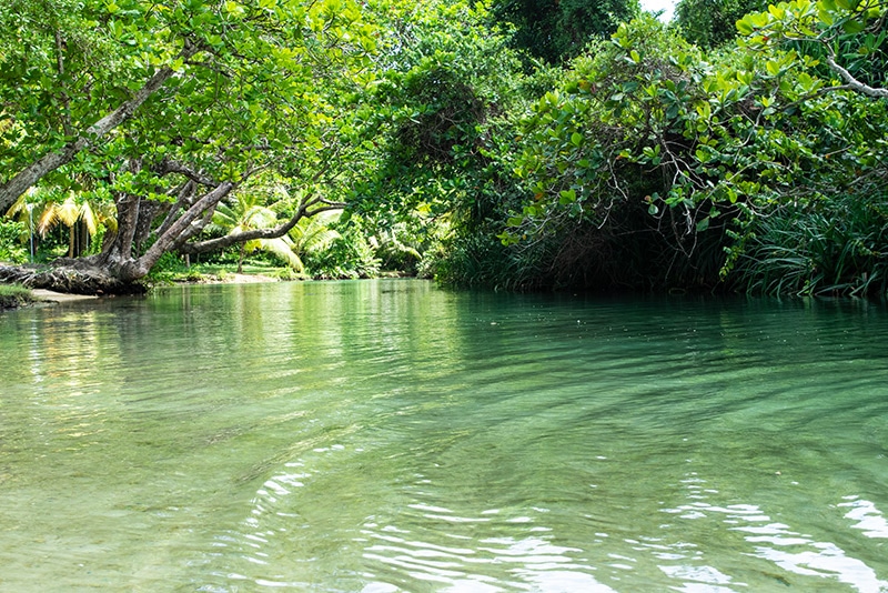 Frenchman's Beach Exotic Excursion