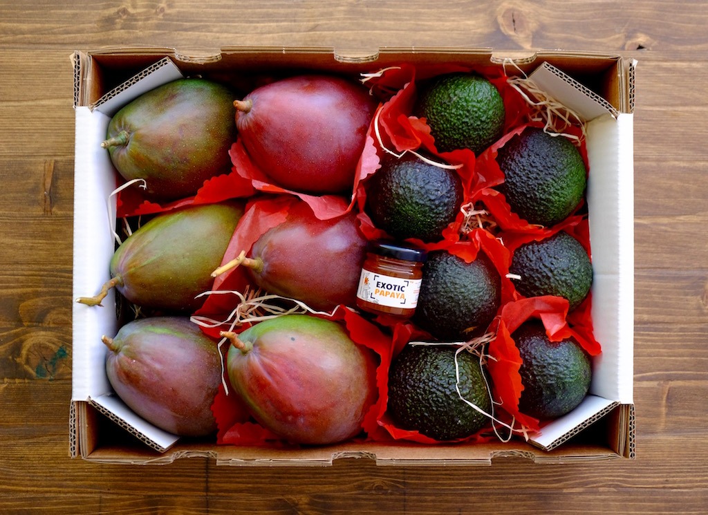 Mangos und Avocados direkt beim Bauern kaufen
