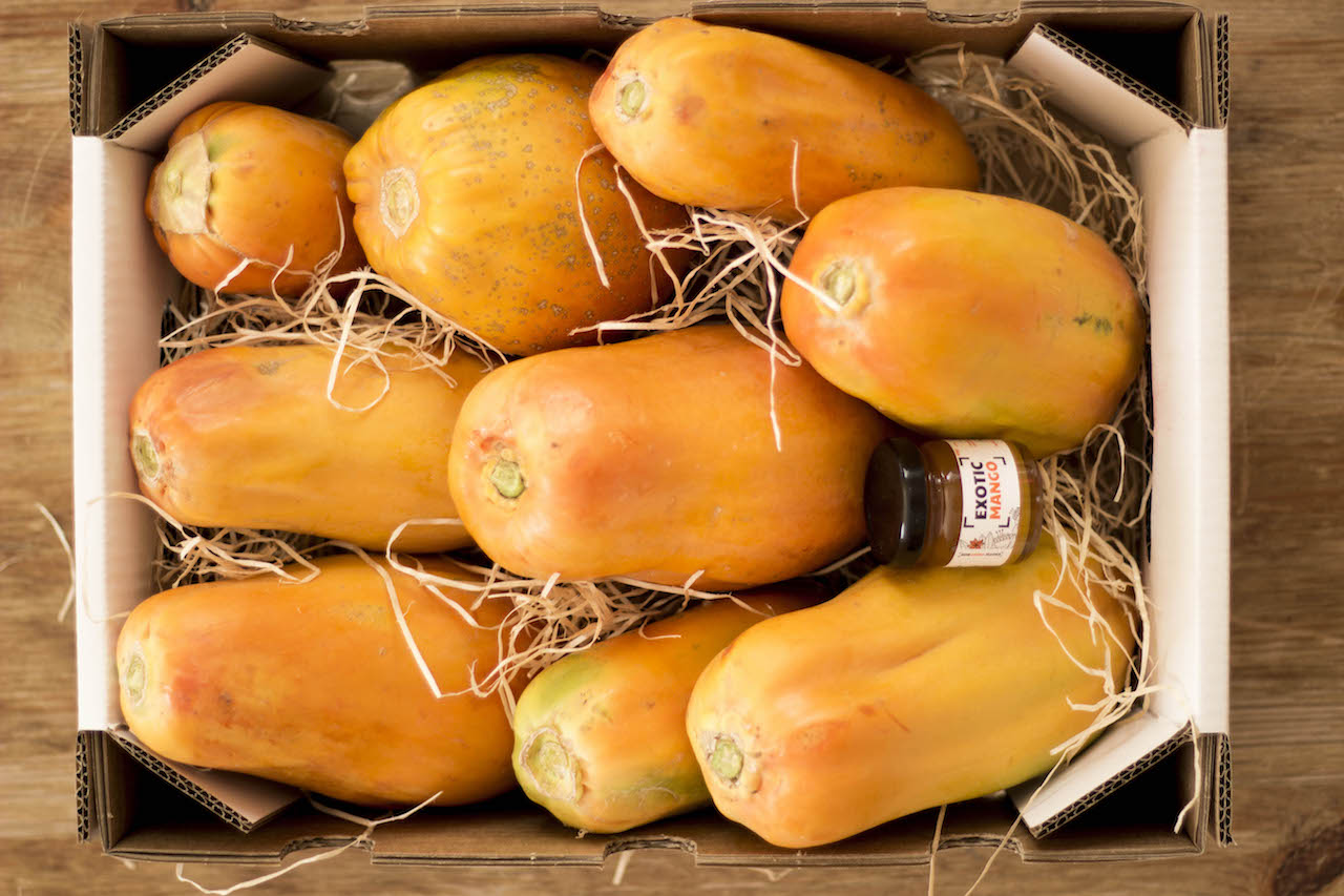 Papaya Fruitbox Buy a fruitbox of papayas directly from Malaga