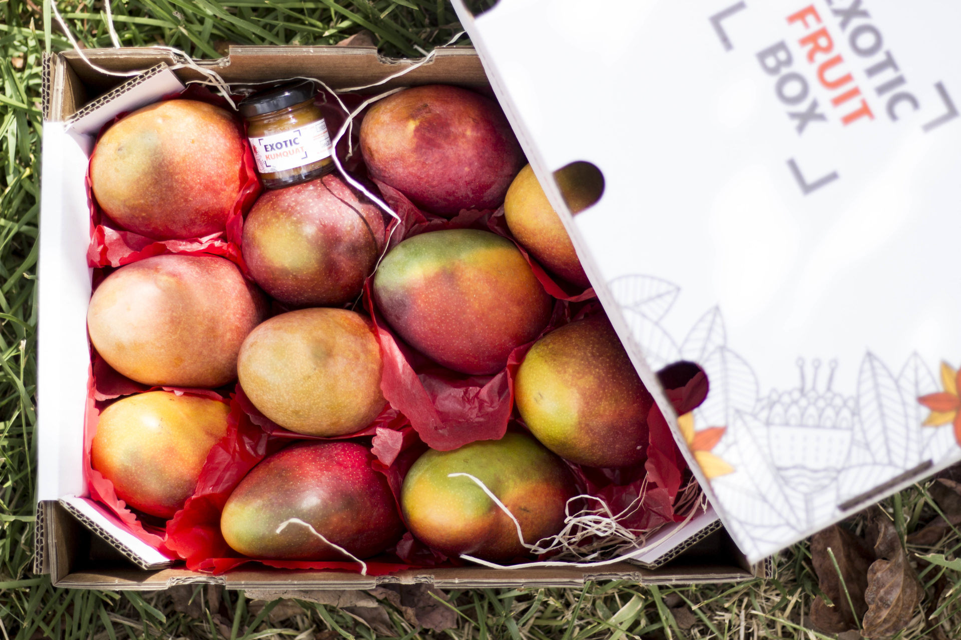 Mango Box Buy mangoes from our farm in Malaga