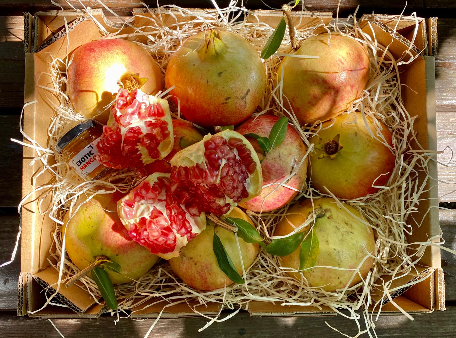 Granatapfel kaufen, vom Baum direkt auf den Tisch.
