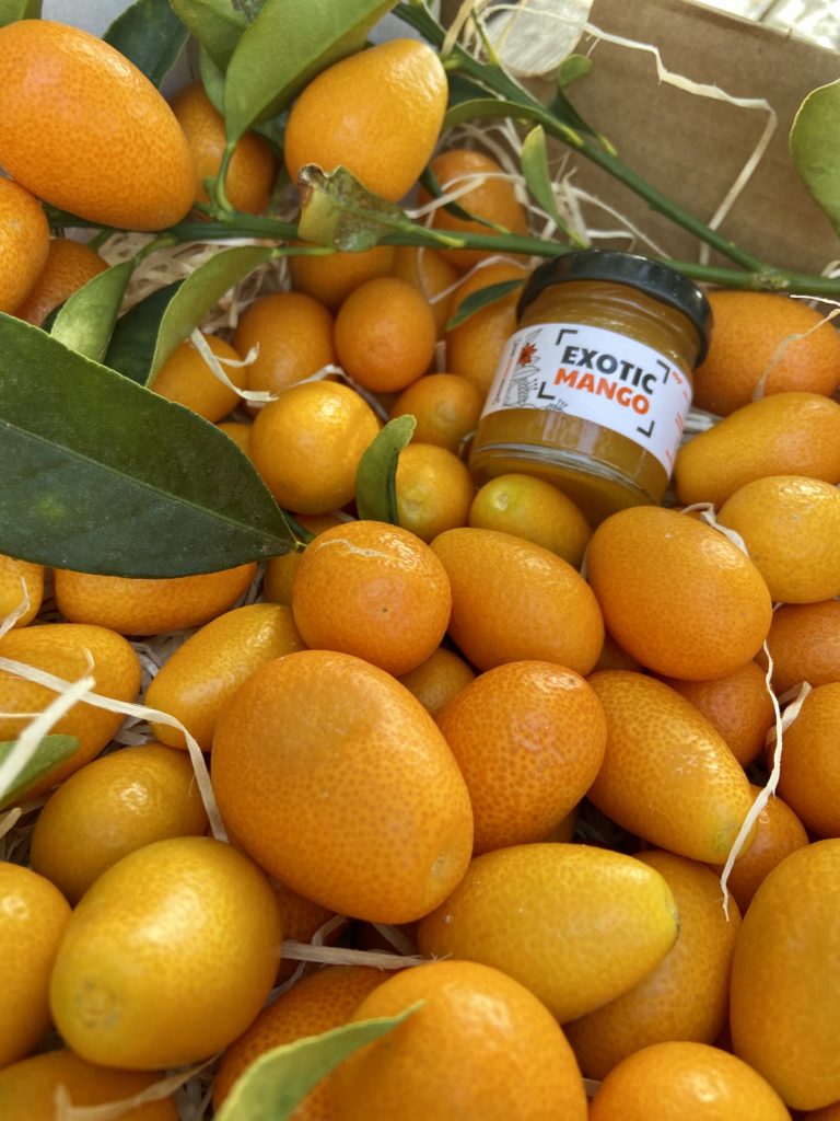 Kumquat online kaufen vom Baum zu Ihnen nach Hause