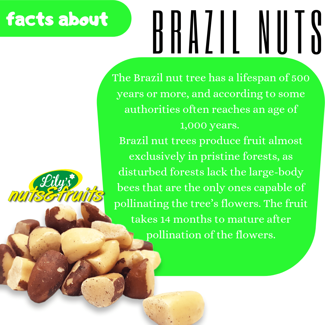 BRAZIL NUTS Brazil nuts in Abuja, a perfect snack for the weather...