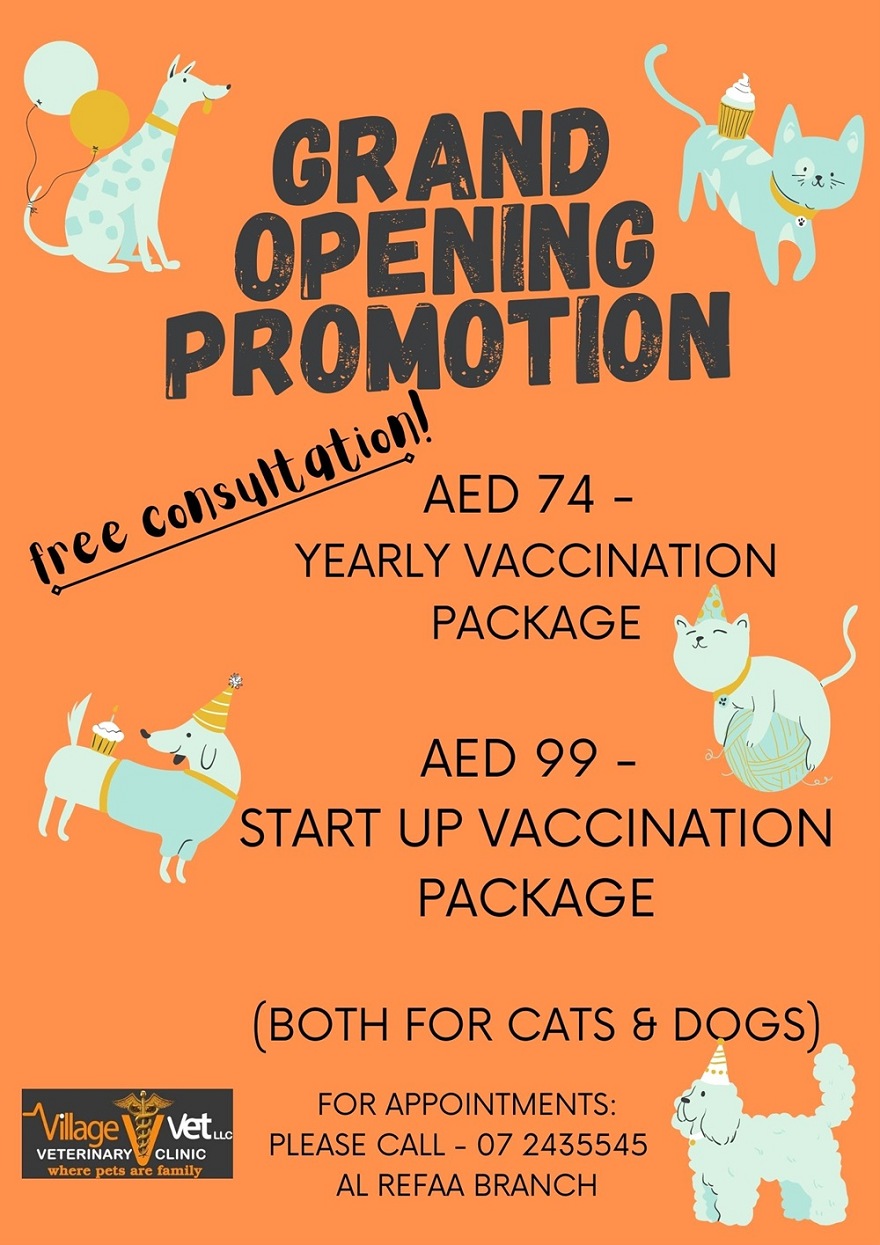 Große Eröffnung beim Village Vet Expat Aktuell