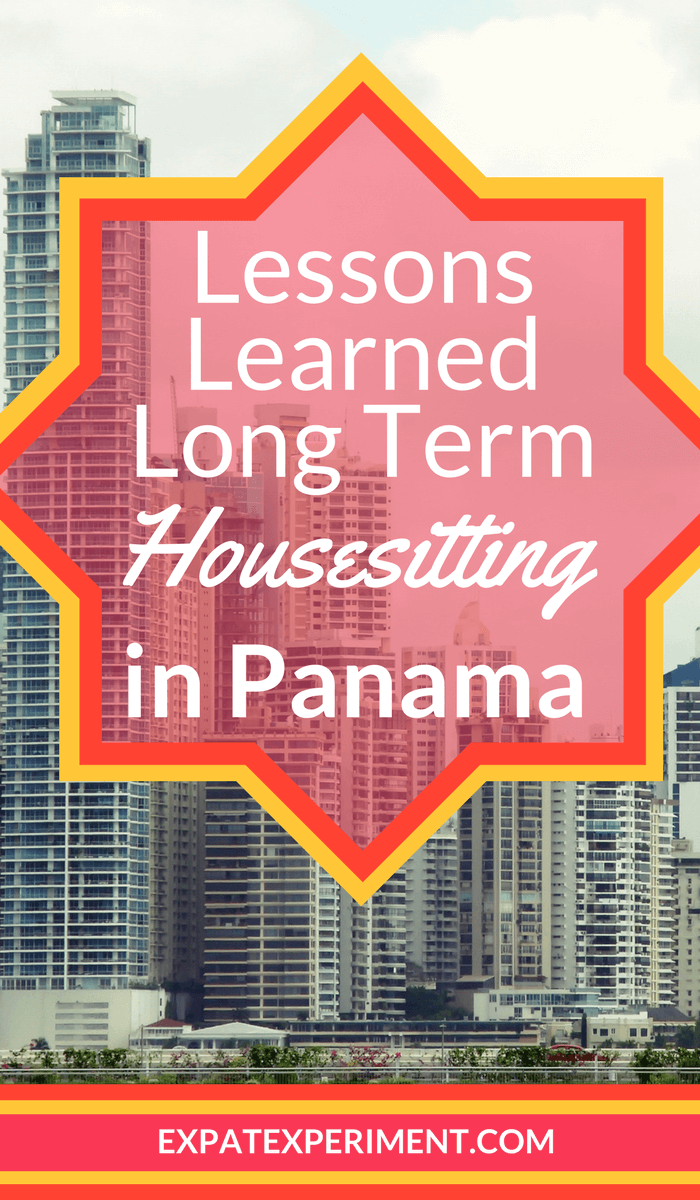 Long Term House Sitting Lessons Learned The Expat Experiment