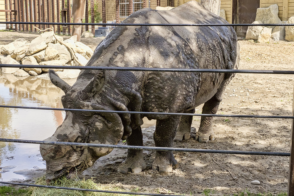 Summer in Alberta 6 of Calgary's Best Attractions The Expat Experiment