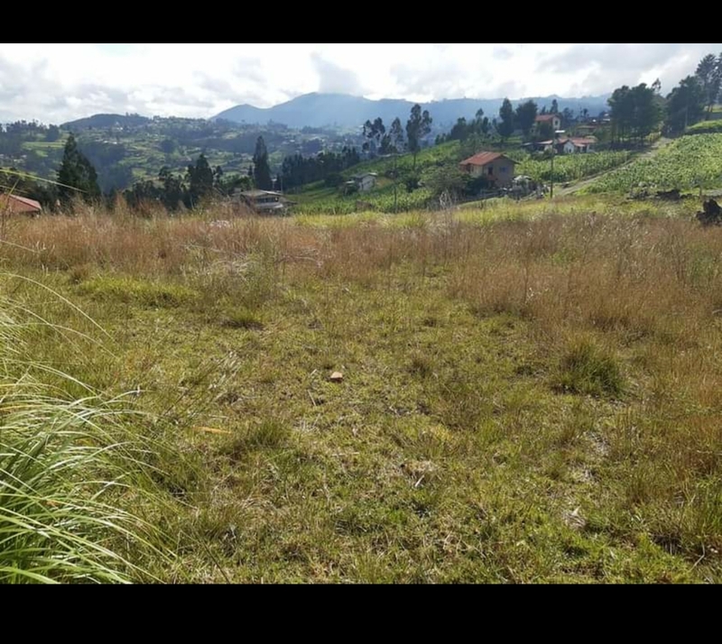 Cuenca Properties for Sale Expats Ecuador