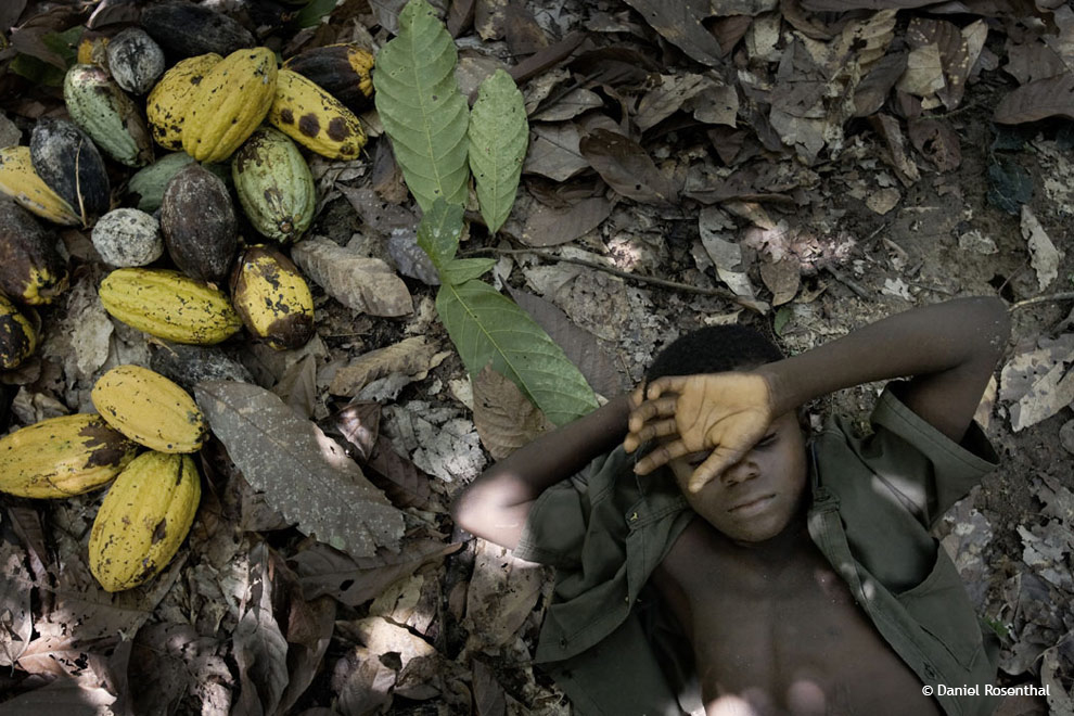 These 7 Popular Chocolate Brands Exploit Child Slaves expatsHaarlem