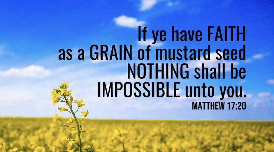 What Exactly Is Mustard Seed Faith? (Part 2) Expedition of the Soul