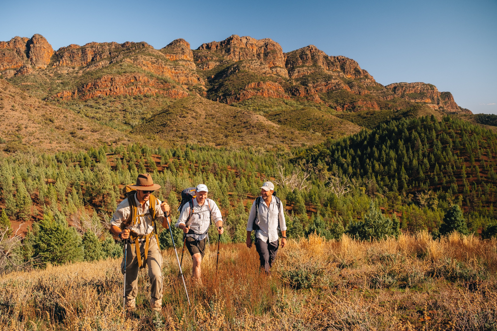 Early Bird Walk Offer Arkaba