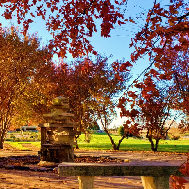 Home Experience Freeman Experience Freeman